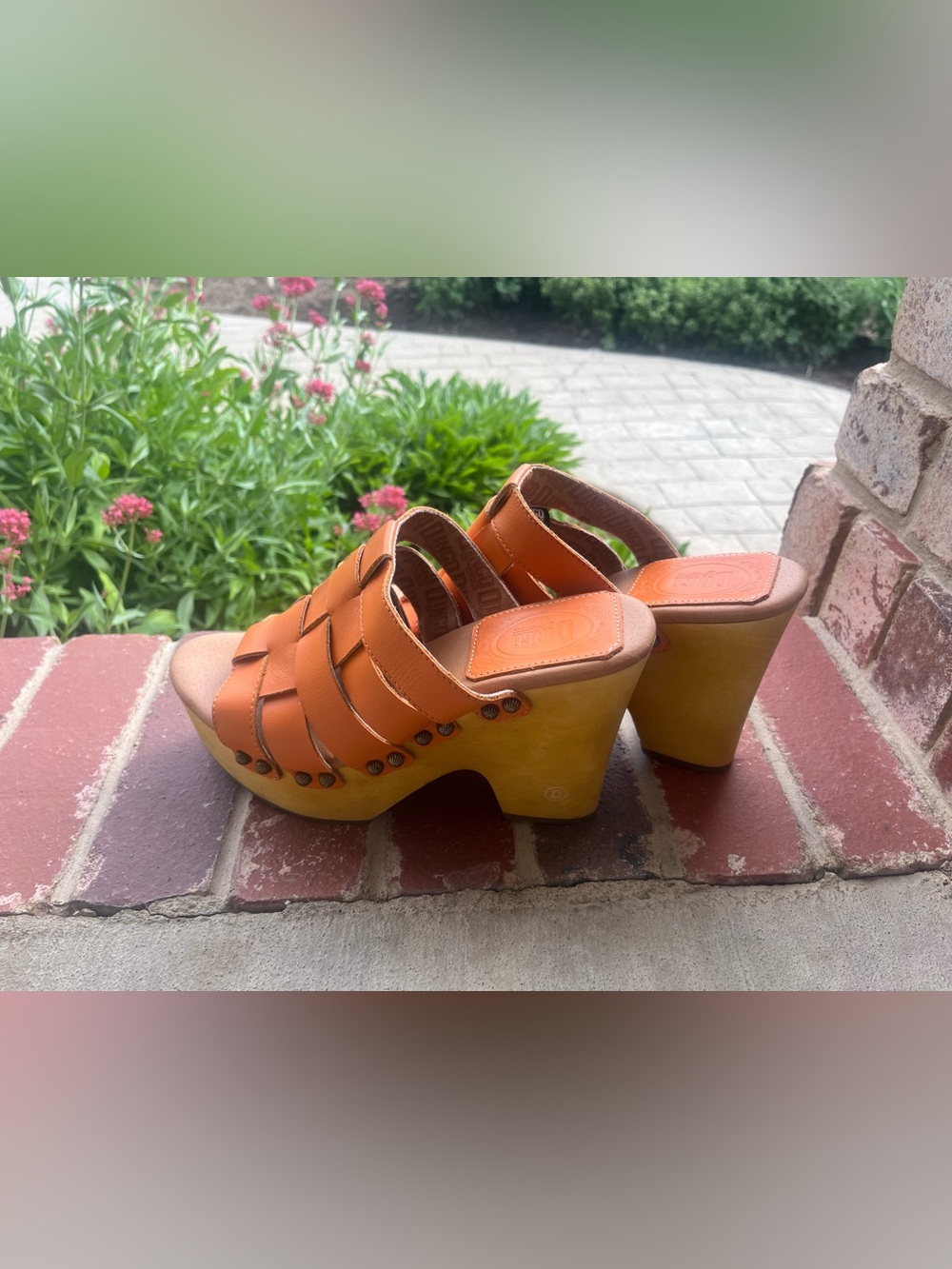 Dingo Dagwood Wedge Platform Sandals - Picture 2 of 14